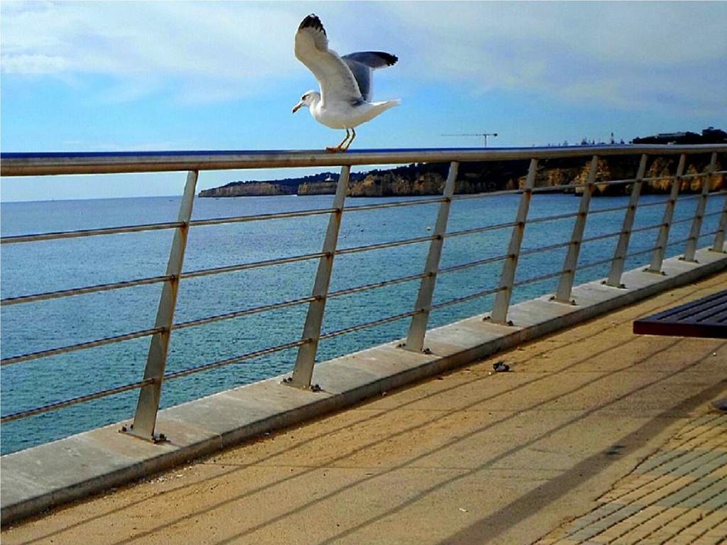 Armacao Beach Residences Armação de Pêra 외부 사진